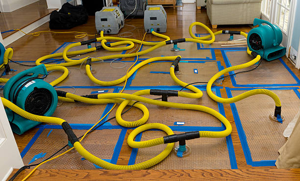 Professional Water Damage Repair technician working in Ideal, SD